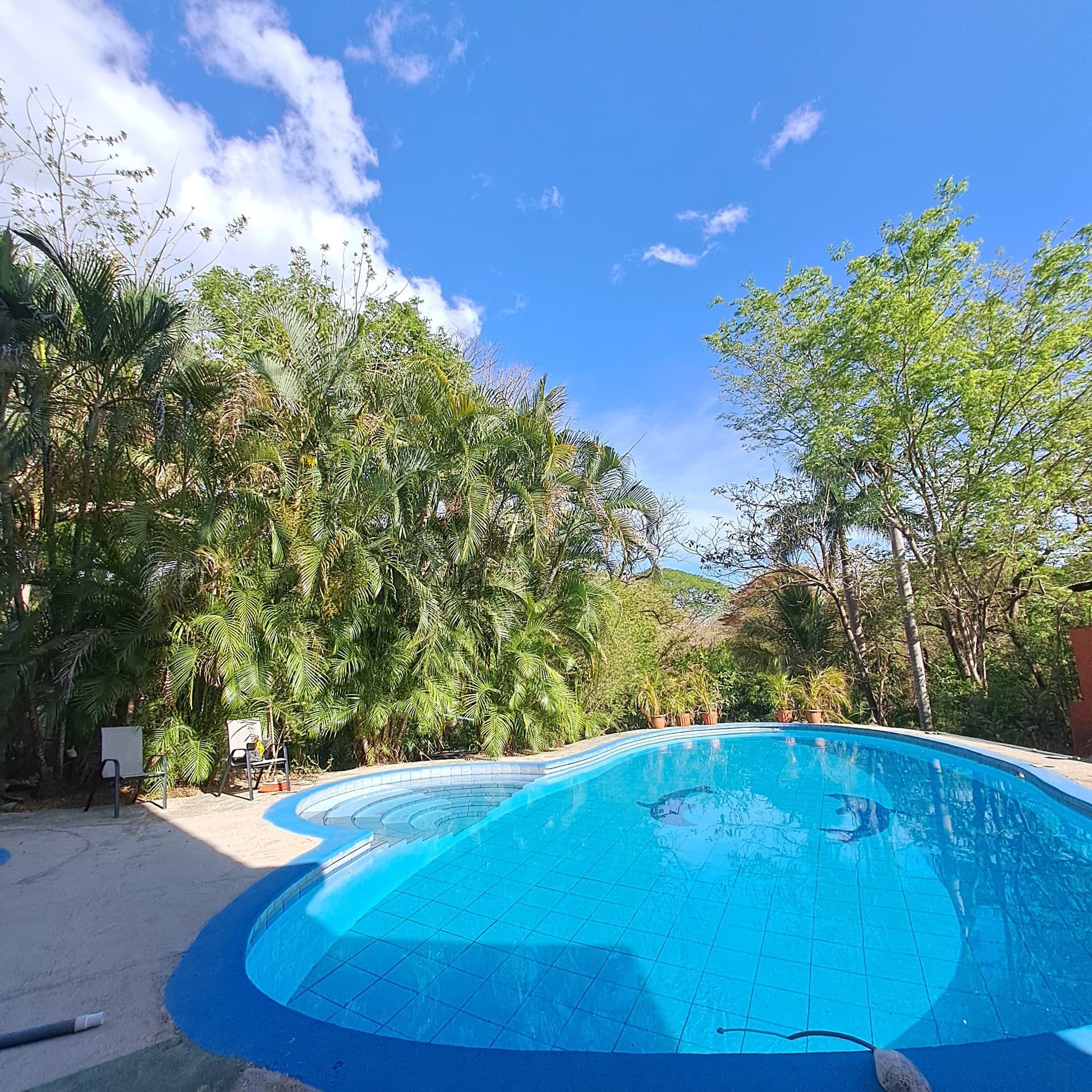 Familiar Estandar imagen 4